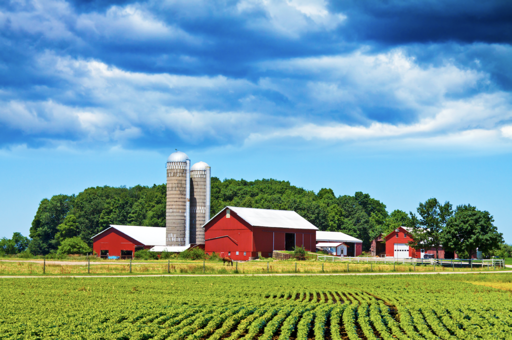 Is it Safe to Buy Land on Ebay? Is it Safe to Buy Land on Ebay?