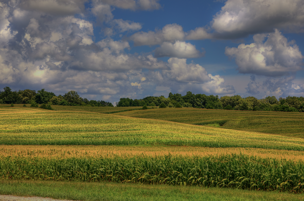 Can I Buy Land that is Not Listed by a Broker? Can I Buy Land that is Not Listed by a Broker?