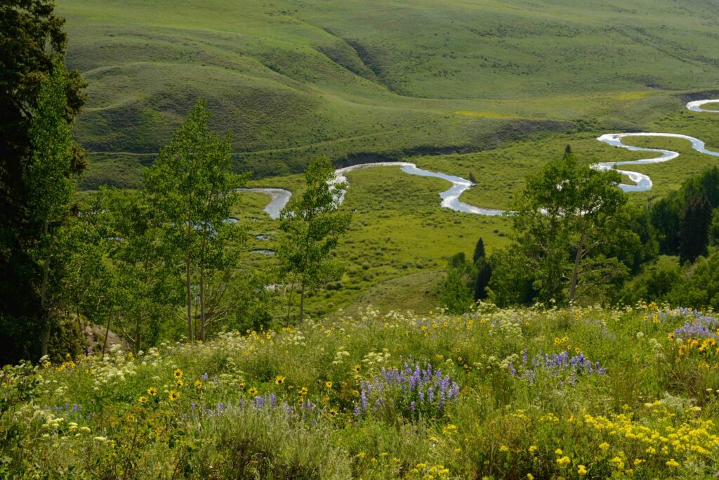 What Is A Conservation Easement?