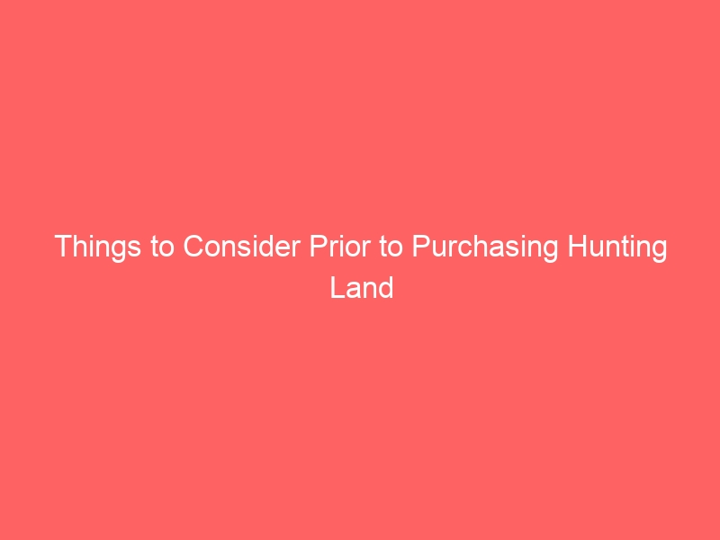 Things to Consider Prior to Purchasing Hunting Land
