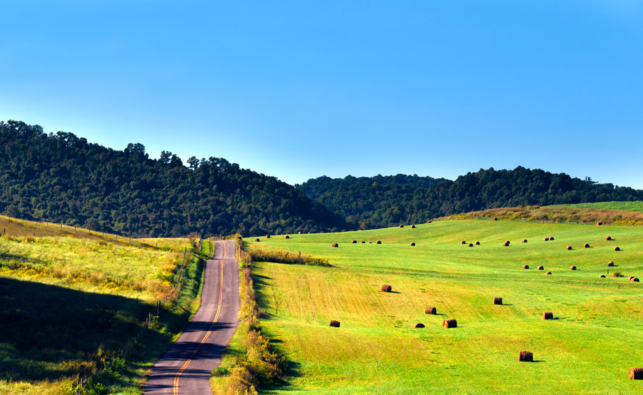 Buying Farmland in Tennessee — A Guide to Buying Your Tennessee Dream Farm