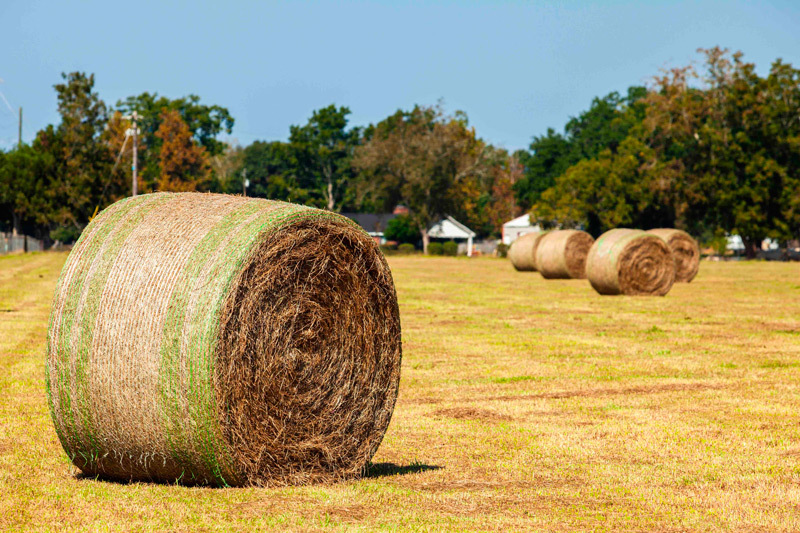 How To Go About Getting A Loan for Acreage In Alabama