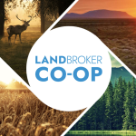 Affordable Advertising: How the Co-op Keeps Your Costs Low