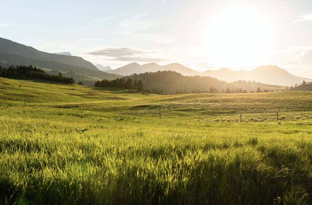 How to Buy Undeveloped Land for Investment: A Complete Beginner’s Guide for 2025