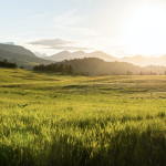 How to Buy Undeveloped Land for Investment: A Complete Beginner’s Guide for 2025