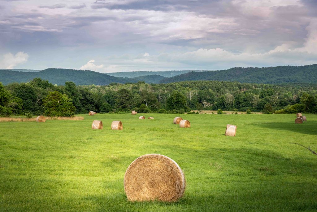 The South Remains A Top Destination for Buying Land