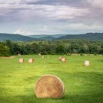 The South Remains A Top Destination for Buying Land