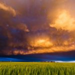 Guest Post – Market Conditions, 2025 Historical Perspective and the 2026 Outlook for Ranch Land Buyers and Sellers